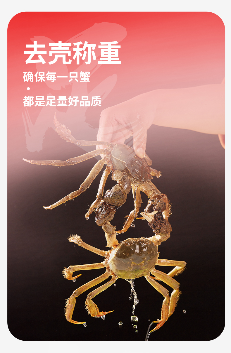 蟹公社详情页-现货_08.jpg