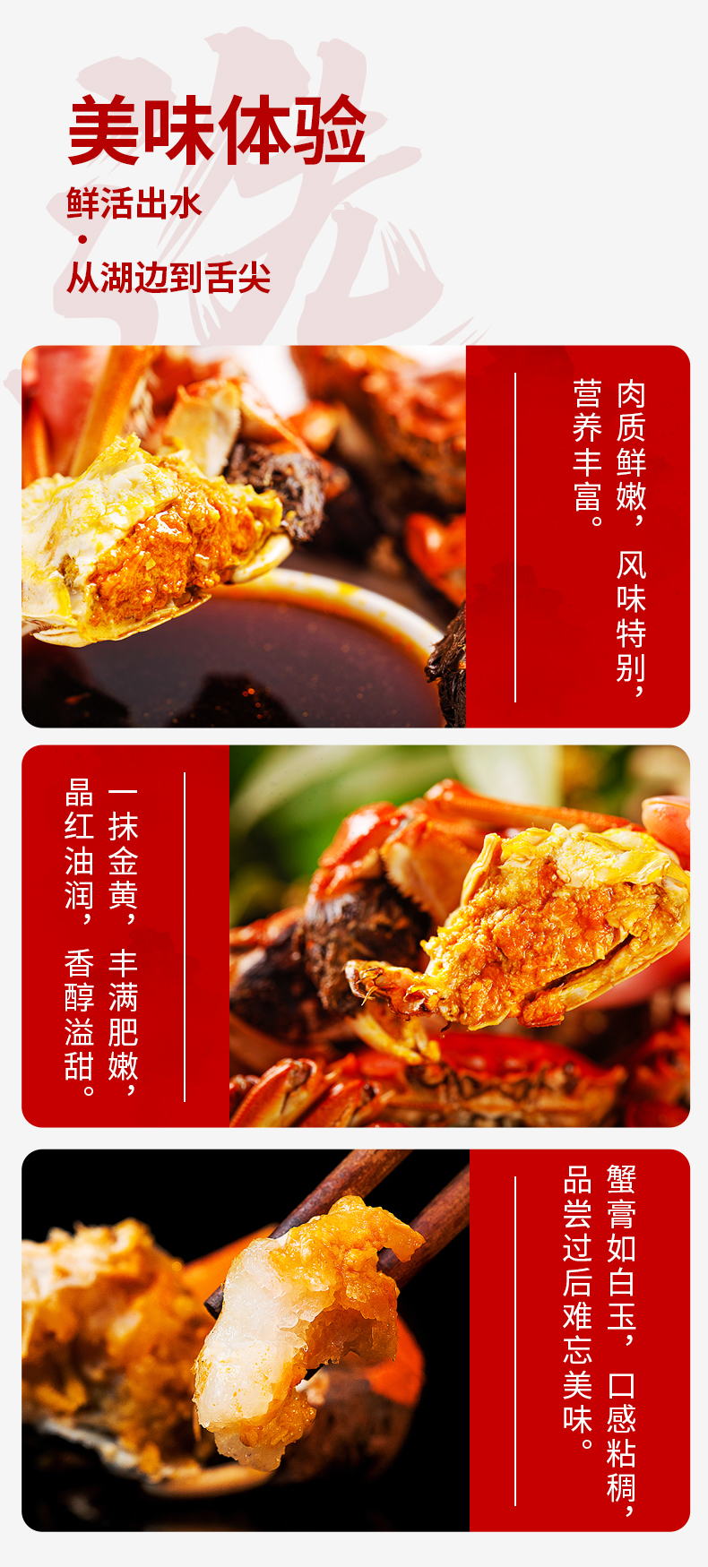 蟹公社详情页-现货_07.jpg