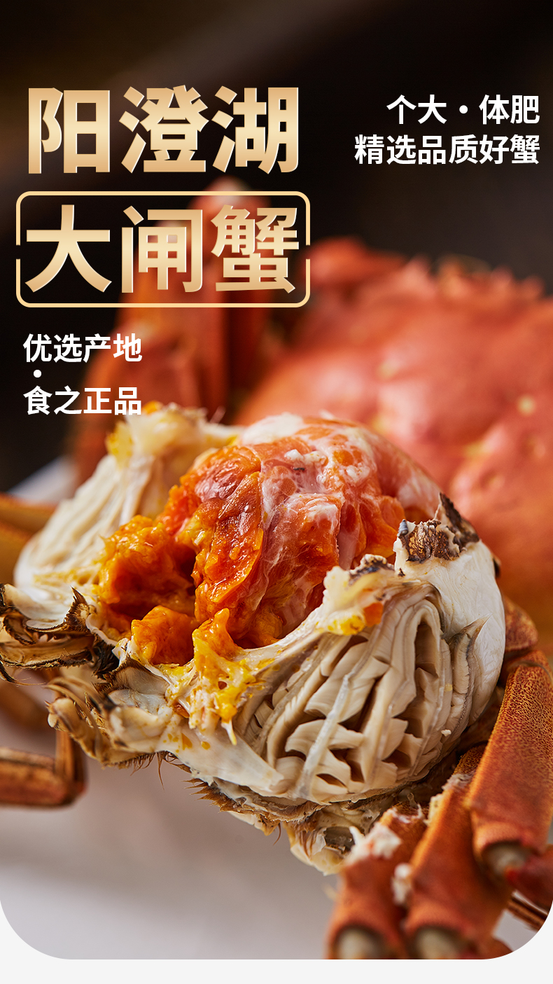 蟹公社详情页-现货_01.jpg