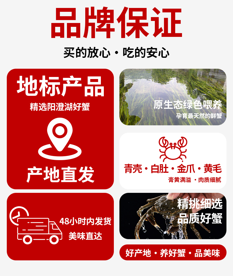 蟹公社详情页-现货_02.jpg