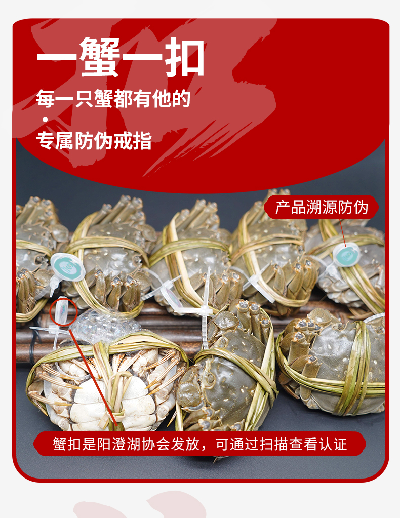 蟹公社详情页-现货_09.jpg